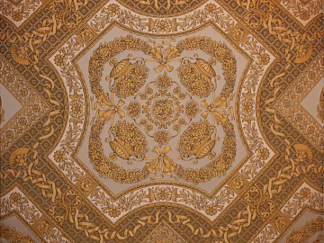 smallpox texture (ID:ffacg21393)