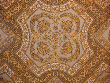 smallpox texture (ID:ffacg21393)