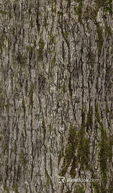 bark texture