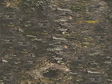 Dark gray moss rock exterior wall finish texture (ID:ffaeh448476)