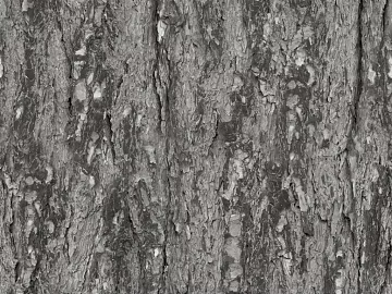 bark texture (ID:ffabg29494)