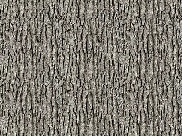 bark texture (ID:ffaag43399)