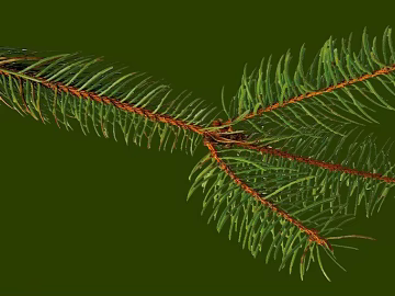 Plants texture (ID:ffajf2078)