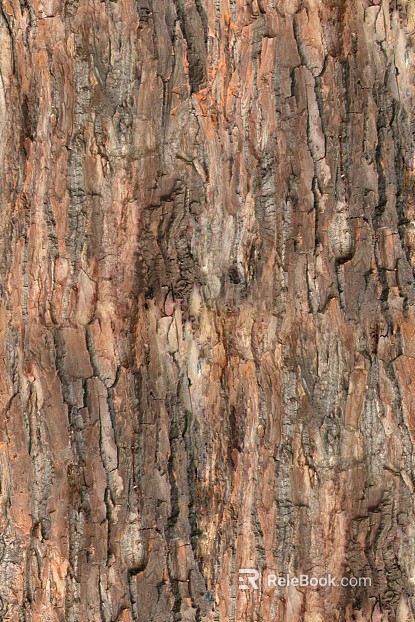 bark texture