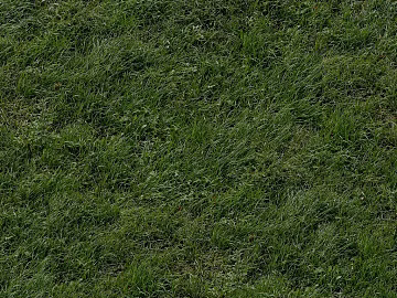 Turf texture (ID:ffajg88719)