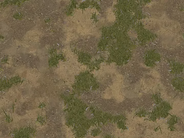 sandy grassland texture (ID:ffach464805)