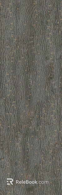 bark texture