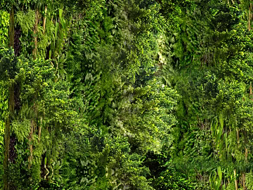 Plants 3d model