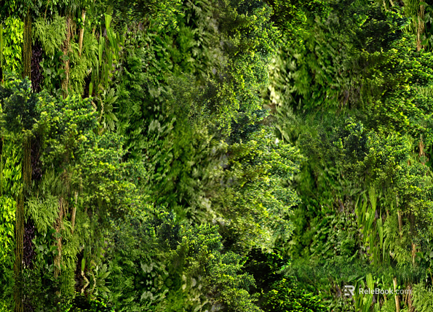 Plants texture