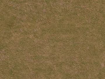 Turf texture (ID:ffach538750)