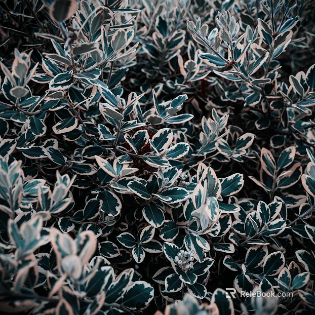 plant pattern texture