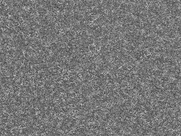 Black and White Bump 3d model