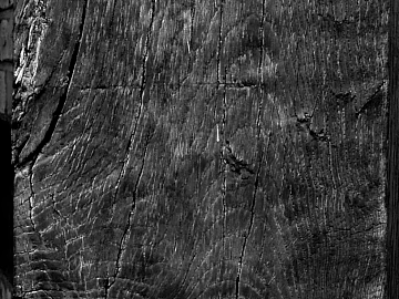 bark texture (ID:ffacg33885)