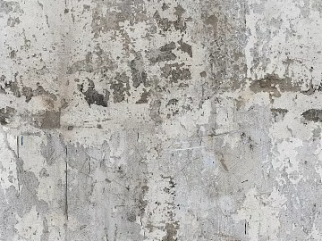 cement wall white exterior wall exterior wall seamless texture (ID:ffagg39365)