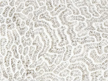 Pattern Wallpaper texture (ID:ffajg26034)