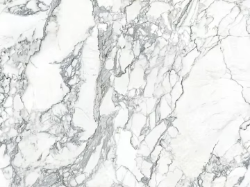 Marco Polo marble big flower white aluminum-plastic panel texture (ID:ffabg71315)
