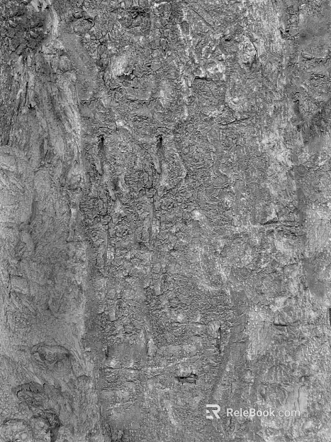 black and white bark texture