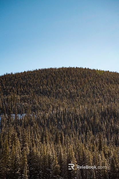 Wild Scenery texture