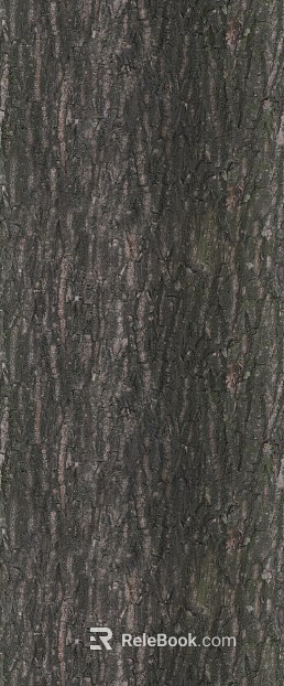 bark texture