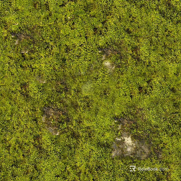 moss texture