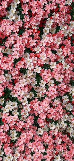 Flowers texture