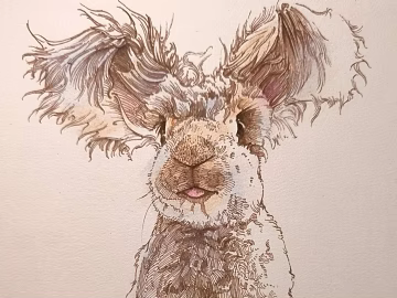 Animal Sketch 3d model