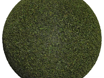 Lawn PBR texture (ID:ffach483281)