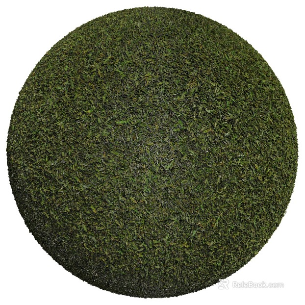 Lawn PBR texture