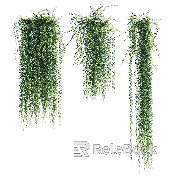 Plants texture