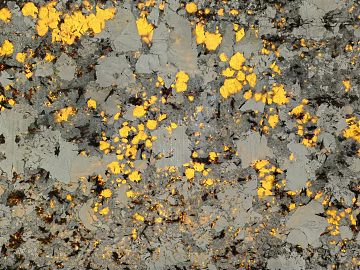 Golden Peacock Luxury Stone Natural Marble texture (ID:ffach526500)