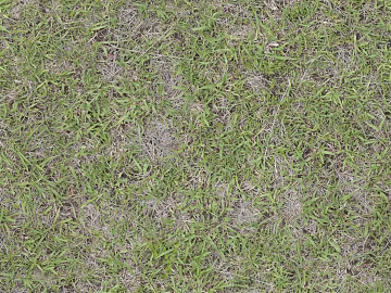 Turf ground texture (ID:ffaaf8547)