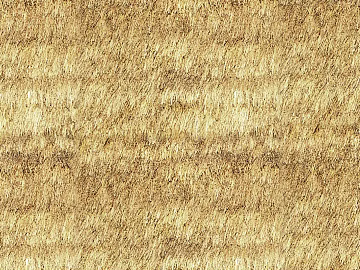 Thatched roof texture (ID:ffacg90335)