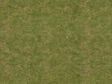 Modern Mud Meadow texture (ID:ffach430203)