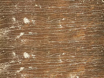 old wood texture (ID:ffach642848)