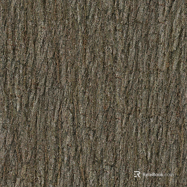 bark texture