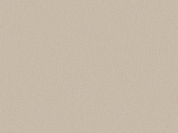 fine grain leather texture (ID:ffagg38269)