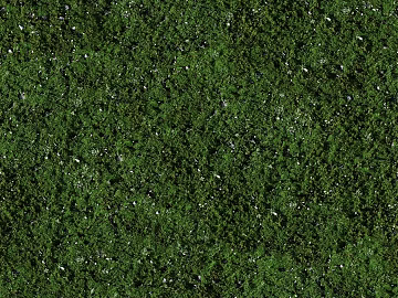 Green moss courtyard ground texture (ID:ffaeh871129)