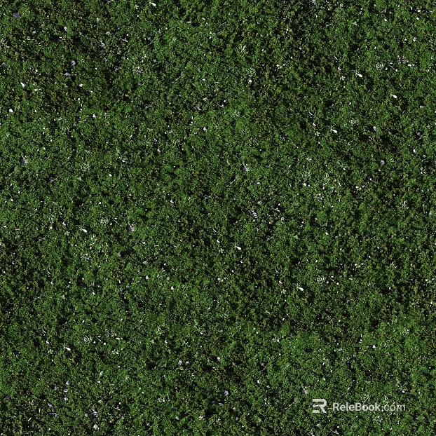 Green moss courtyard ground texture