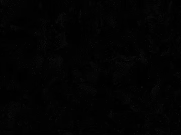 Black fine-grain leather, soft upholstery fabric texture (ID:ffaeh489221)