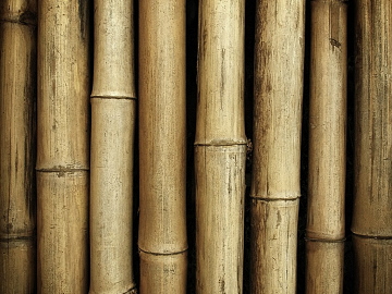 Bamboo texture (ID:ffacg46947)