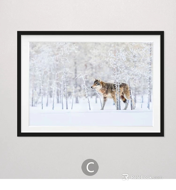 Animal painting texture