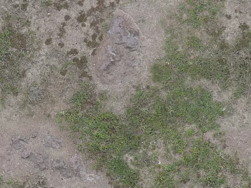 Turf ground texture (ID:ffaaf6682)