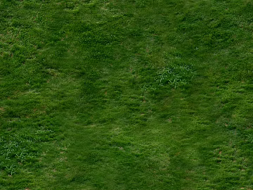 Turf texture (ID:ffabg58369)