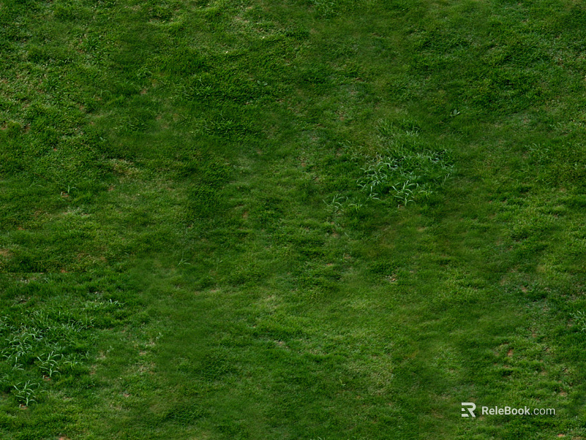 Turf texture