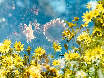 Plant Oil Painting Decorative Painting texture (ID:ffach826954)