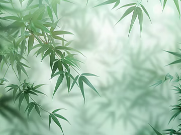 New Chinese bamboo background wall texture (ID:ffach494224)