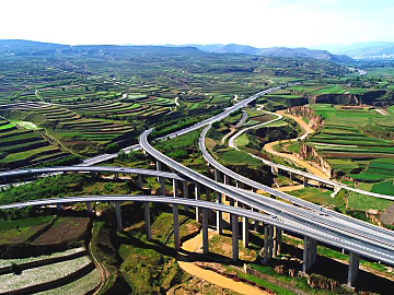 Exterior texture (ID:ffaeg13827)