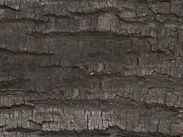 bark texture (ID:ffagg42387)