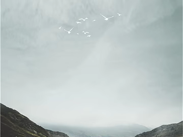 Wild Scenery texture (ID:ffacf4569)