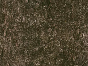 bark texture (ID:ffaeg04691)